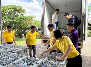 สนับสนุนการกระจายผลผลิตมังคุดคุณภาพ มาตรฐาน GAP ... พารามิเตอร์รูปภาพ 4
