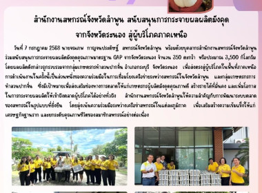 สนับสนุนการกระจายผลผลิตมังคุดคุณภาพ มาตรฐาน GAP ... พารามิเตอร์รูปภาพ 9