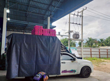 รวบรวมผลผลิตลำไยจากสมาชิกสหกรณ์ ... Image 7