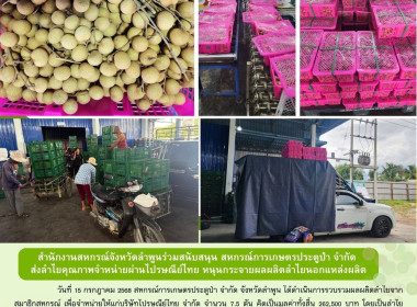 รวบรวมผลผลิตลำไยจากสมาชิกสหกรณ์ ... Image 8