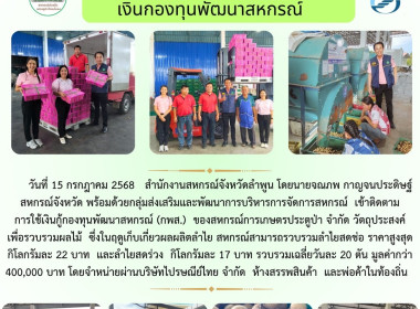 ติดตามการใช้เงินกู้กองทุนพัฒนาสหกรณ์ ... พารามิเตอร์รูปภาพ 7
