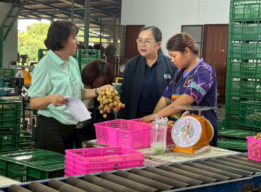 ลงพื้นที่ติดตามสถานการณ์ผลผลิตลำไยในฤดู ณ ... พารามิเตอร์รูปภาพ 5