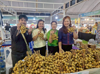 งานแสดงและจำหน่ายสินค้าเกษตรปลอดภัย ... Image 11