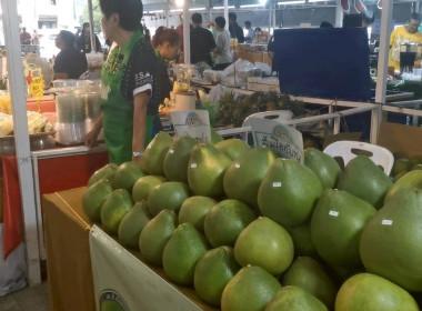 งานแสดงและจำหน่ายสินค้าเกษตรปลอดภัย ... Image 14