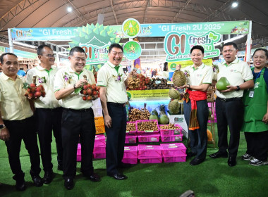 งานแสดงและจำหน่ายสินค้าเกษตรปลอดภัย ... Image 7