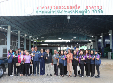 ตรวจเยี่ยมและติดตามสถานการณ์ผลผลิตลำไย ณ ... พารามิเตอร์รูปภาพ 11
