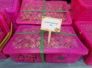 โครงการประชุมเชิงปฏิบัติการเพิ่มศักยภาพการการบริหารจัดการลำไยเพื่อเชื่อมโยงเครือข่ายกระจายผลผลิต ... Image 7