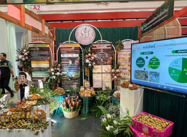 กิจกรรม ... Image 8