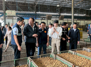 ลงพื้นติดตามสถานการณ์ผลผลิตและการส่งออกลำไยในพื้นที่ภาคเหนือ Image 1