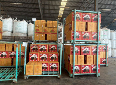 ลงพื้นติดตามสถานการณ์ผลผลิตและการส่งออกลำไยในพื้นที่ภาคเหนือ Image 11