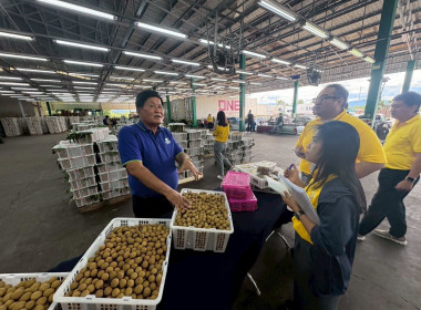 ลงพื้นติดตามสถานการณ์ผลผลิตและการส่งออกลำไยในพื้นที่ภาคเหนือ Image 6