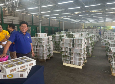 ลงพื้นติดตามสถานการณ์ผลผลิตและการส่งออกลำไยในพื้นที่ภาคเหนือ Image 12