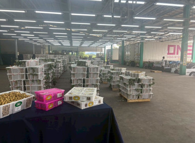 ลงพื้นติดตามสถานการณ์ผลผลิตและการส่งออกลำไยในพื้นที่ภาคเหนือ Image 10