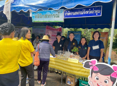โครงการคลินิกเกษตรเคลื่อนที่ในพระราชานุเคราะห์ฯ ... พารามิเตอร์รูปภาพ 12