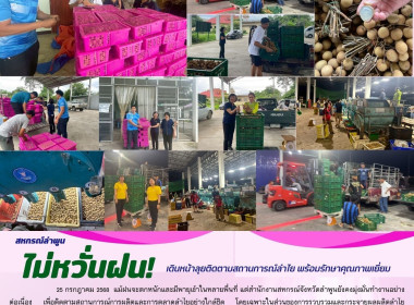ติดตามสถานการณ์การผลิตและการตลาดลำไยอย่างใกล้ชิด พารามิเตอร์รูปภาพ 17