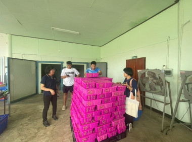 ติดตามสถานการณ์การผลิตและการตลาดลำไยอย่างใกล้ชิด พารามิเตอร์รูปภาพ 2