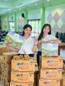 ส่งเสริมและสนับสนุนการจำหน่ายลำไยพันธุ์อีดอคุณภาพเยี่ยม Image 1