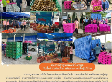 ตรวจสอบกระบวนการผลิตลำไยในทุกขั้นตอน พารามิเตอร์รูปภาพ 12