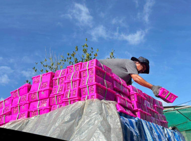 ขับเคลื่อนนโยบายการเชื่อมโยงเครือข่ายสหกรณ์ทั่วประเทศ Image 2