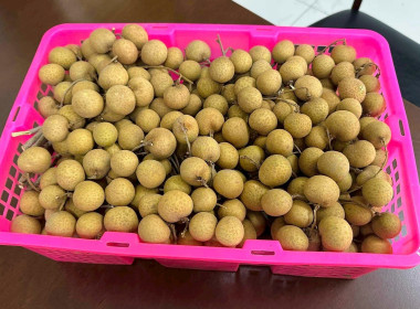 ขับเคลื่อนนโยบายการเชื่อมโยงเครือข่ายสหกรณ์ทั่วประเทศ Image 6