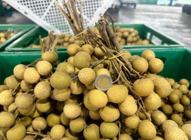 ขับเคลื่อนนโยบายการเชื่อมโยงเครือข่ายสหกรณ์ทั่วประเทศ Image 7