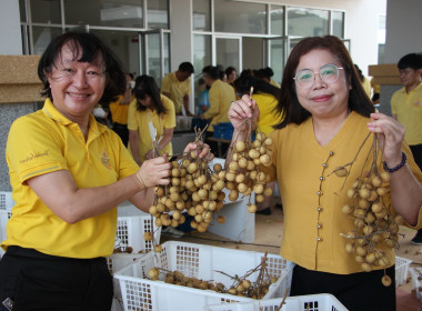 กิจกรรม “ส่งรัก ส่งใจ ส่งลำไย ถึงทหารกล้า” มอบลำไยจำนวน ... พารามิเตอร์รูปภาพ 6