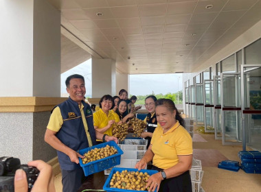 กิจกรรม “ส่งรัก ส่งใจ ส่งลำไย ถึงทหารกล้า” มอบลำไยจำนวน ... พารามิเตอร์รูปภาพ 8