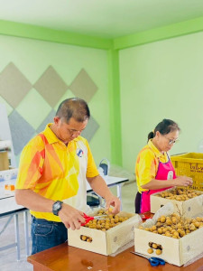 เดินหน้าเสริมสร้างความเข้มแข็งให้สหกรณ์ภาคการเกษตรในพื้นที่ พารามิเตอร์รูปภาพ 1