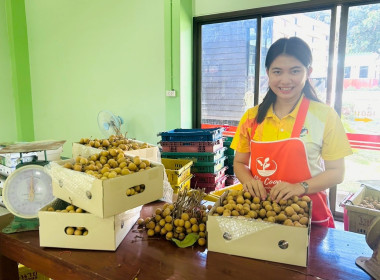 เดินหน้าเสริมสร้างความเข้มแข็งให้สหกรณ์ภาคการเกษตรในพื้นที่ พารามิเตอร์รูปภาพ 1