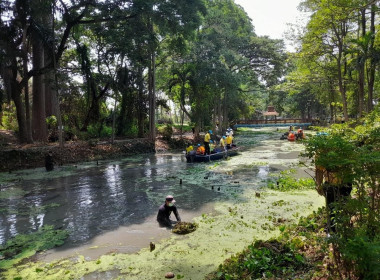 ร่วมกิจกรรมจิตอาสาเฉลิมพระเกียรติ เนื่องในวันฉัตรมงคล 4 ... พารามิเตอร์รูปภาพ 4
