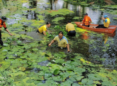 ร่วมกิจกรรมจิตอาสาเฉลิมพระเกียรติ เนื่องในวันฉัตรมงคล 4 ... พารามิเตอร์รูปภาพ 9