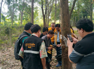 คณะอนุกรรมการติดตามผลการดำเนินงานเงินอุดหนุน ตาม ม. 49 (3) ... พารามิเตอร์รูปภาพ 12