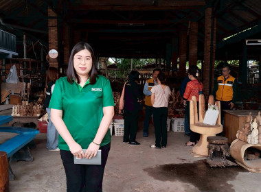 คณะอนุกรรมการติดตามผลการดำเนินงานเงินอุดหนุน ตาม ม. 49 (3) ... พารามิเตอร์รูปภาพ 15