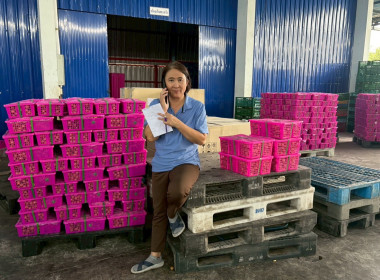 ลงพื้นที่ติดตามสถานการณ์การกระจายลำไยสด ปี 2568 พารามิเตอร์รูปภาพ 15