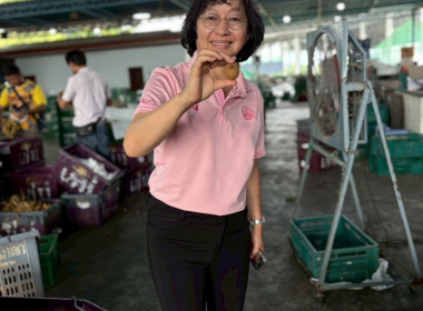 ลงพื้นที่ติดตามการดำเนินธุรกิจของสหกรณ์ในพื้นที่จังหวัดลำพูน Image 10