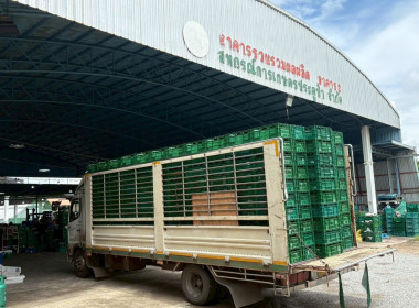 ลงพื้นที่ติดตามการดำเนินธุรกิจของสหกรณ์ในพื้นที่จังหวัดลำพูน Image 2