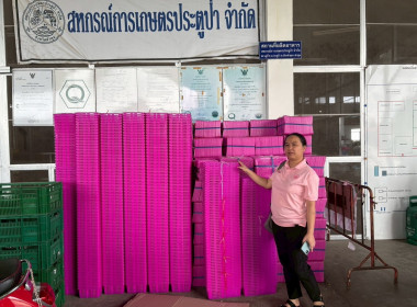 ลงพื้นที่ติดตามการดำเนินธุรกิจของสหกรณ์ในพื้นที่จังหวัดลำพูน Image 4