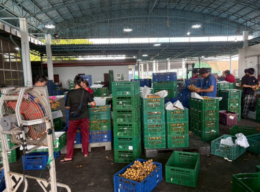 ลงพื้นที่ติดตามการดำเนินธุรกิจของสหกรณ์ในพื้นที่จังหวัดลำพูน Image 5