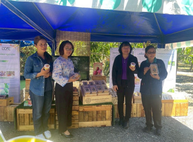 งานรณรงค์การผลิตมะม่วงคุณภาพที่เป็นมิตรกับสิ่งแวดล้อม พารามิเตอร์รูปภาพ 2