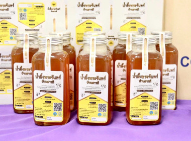 กิจกรรม “ชิม ช้อป โชว์ ผลิตภัณฑ์จากแมลงเศรษฐกิจ (ผึ้ง)” Image 8