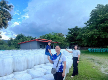 ลงพื้นที่ติดตามการดำเนินงานสหกรณ์โคนมลำพูน จำกัด Image 2