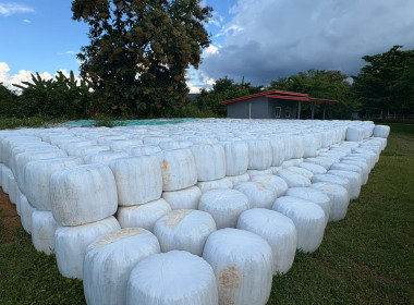 ลงพื้นที่ติดตามการดำเนินงานสหกรณ์โคนมลำพูน จำกัด Image 5