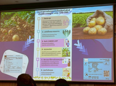 ประชุมคณะทำงานวางแผนการผลิตหัวมันฝรั่งปลอดโรคแบบบูรณาการ Image 5
