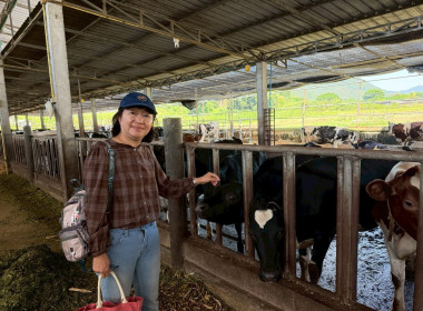 ลงพื้นที่ตรวจเยี่ยมและเก็บข้อมูลสมาชิกสหกรณ์ผู้เลี้ยงโคนม Image 13