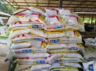 ลงพื้นที่ตรวจเยี่ยมและเก็บข้อมูลสมาชิกสหกรณ์ผู้เลี้ยงโคนม Image 9