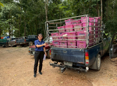 ติดตามผลการดำเนินงานของกลุ่มเกษตรกรทำสวนยางลุ่มน้ำลี้ Image 2