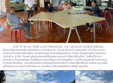 ติดตามการรวบรวมข้าวโพดเลี้ยงสัตว์ ... Image 6