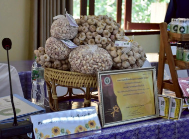 โครงการประชุมเชิงปฏิบัติการ ... Image 8