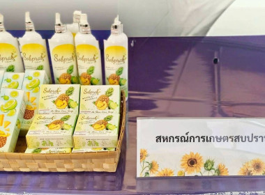 โครงการประชุมเชิงปฏิบัติการ ... Image 9