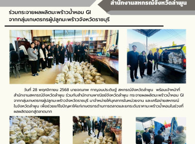 กระจายผลผลิตมะพร้าวน้ำหอม GI ... Image 6